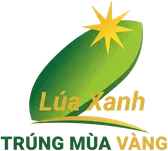 Lúa Xanh – Trúng mùa vàng